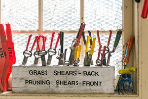 shears